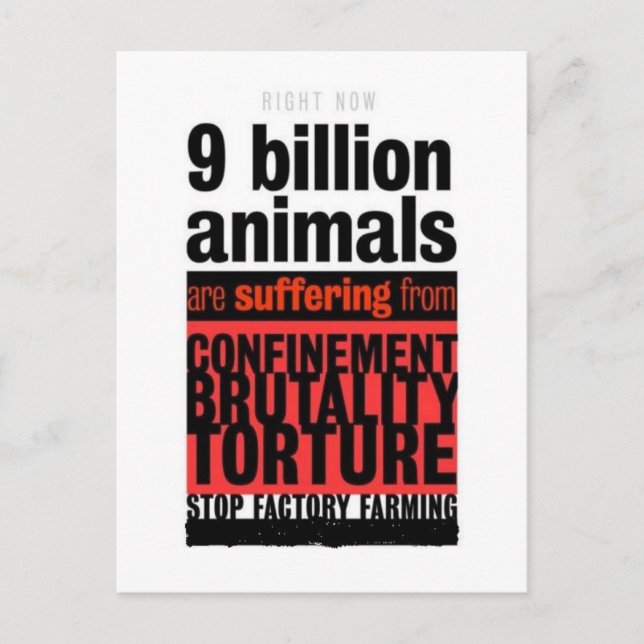 Cartão Postal Seu Sofrimento (Frente)