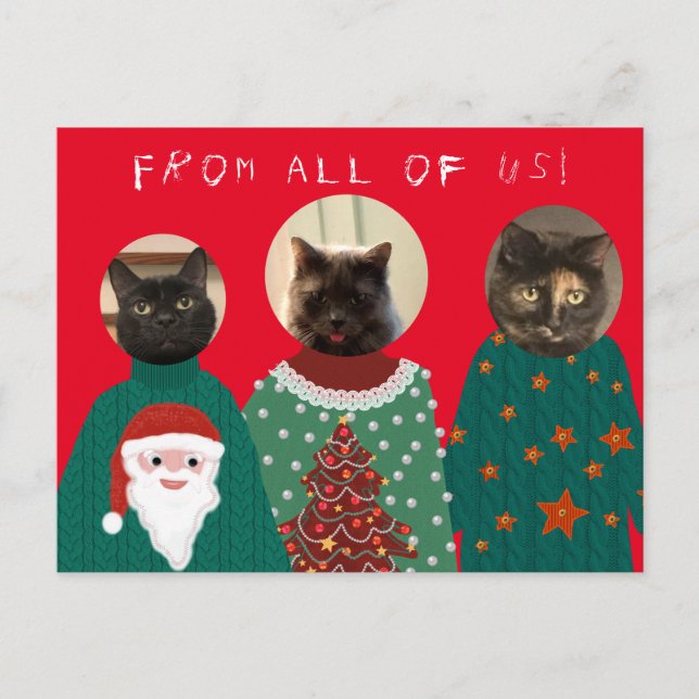 Cartão Postal Seus 3 Gatos no Cartão-postal de Natal Feio (Frente)