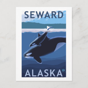 Cartão Postal Seward, AlascaCena de Orca e Filhote
