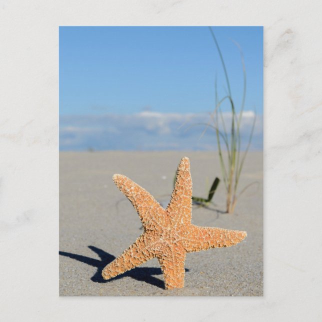 Cartão Postal Sewest am Strand (Frente)