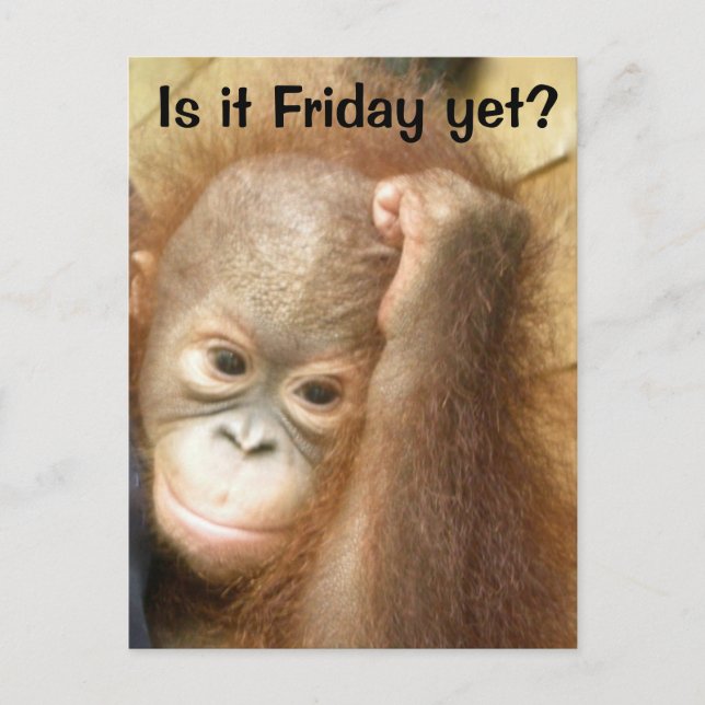 Cartão Postal Sexta (Frente)