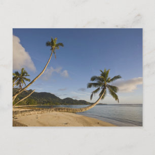Cartão Postal Seychelles, Mahe Island, horizontal palm,