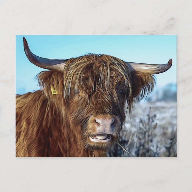 Cartão Postal Shaggg Highland Beef Oil Painting (Frente)