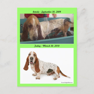 Cartão Postal Shammy_Landscape, Shammy2, entrada - 3 de