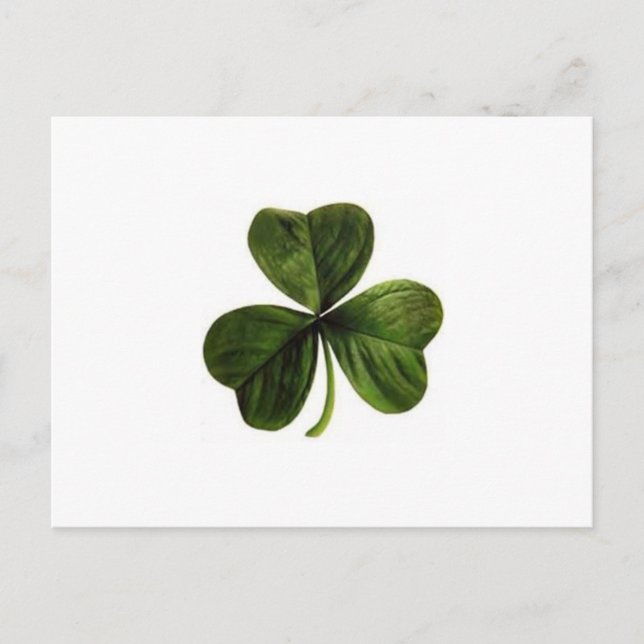 Cartão Postal Shamrock (Frente)
