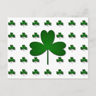CARTÃO POSTAL SHAMROCKS IRLANDÊS