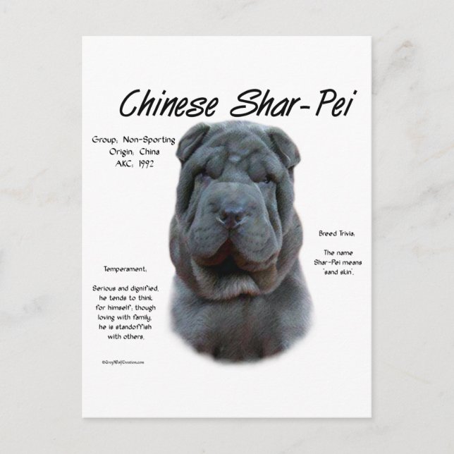 Cartão Postal Shar Pei Azul Chinês, História, Sharpei, Shar-pei (Frente)