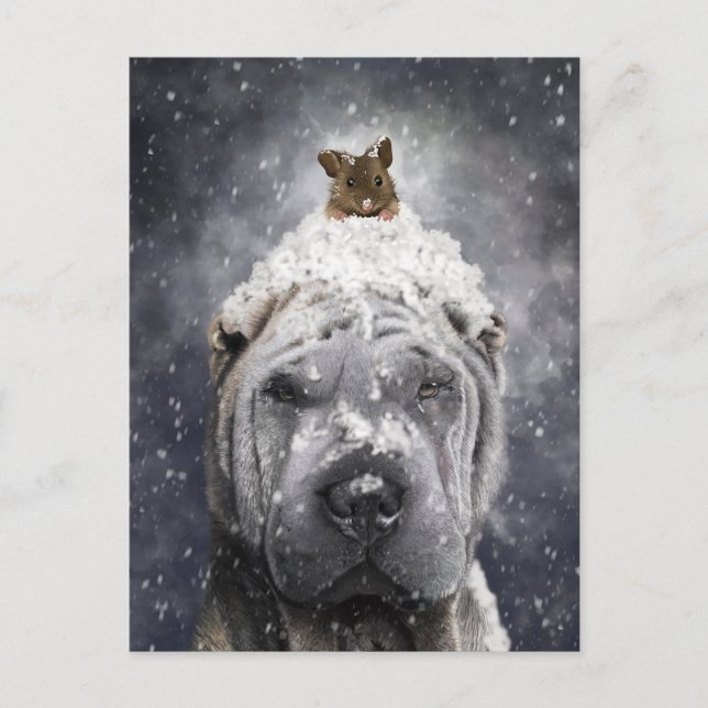 Cartão Postal Shar Pei Azul na neve com um pequeno rato (Frente)