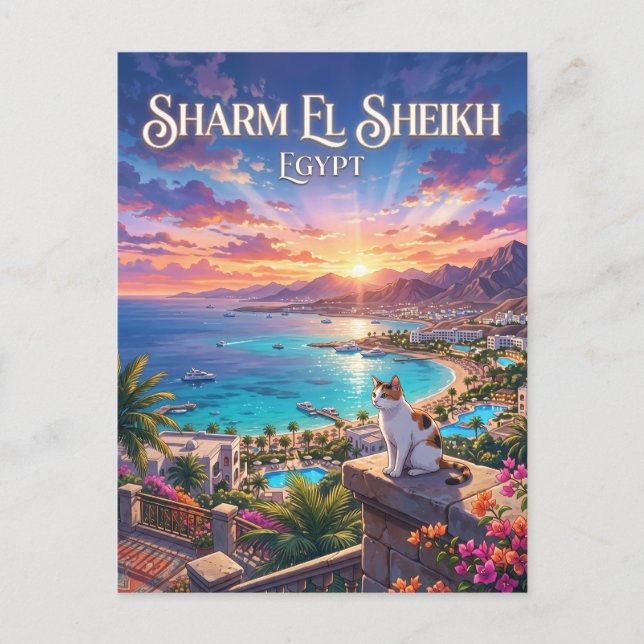 Cartão Postal Sharm El Sheikh Egito (Frente)