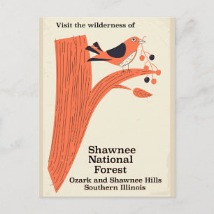 Cartão Postal Shawnee National Forest poster vintage