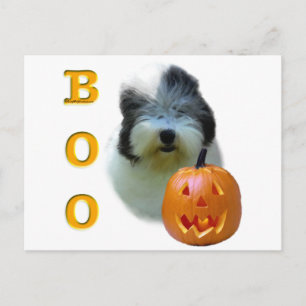 Cartão Postal Sheepdog Boo Antigo Inglês