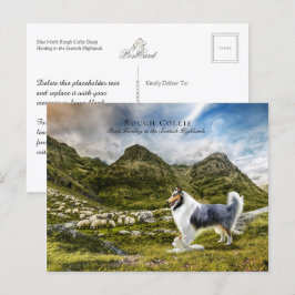 Cartão Postal Sheepherherle Blue Merle Rough Collie - Coletor