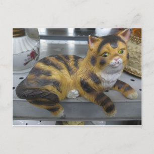 Cartão Postal Shelf Cat