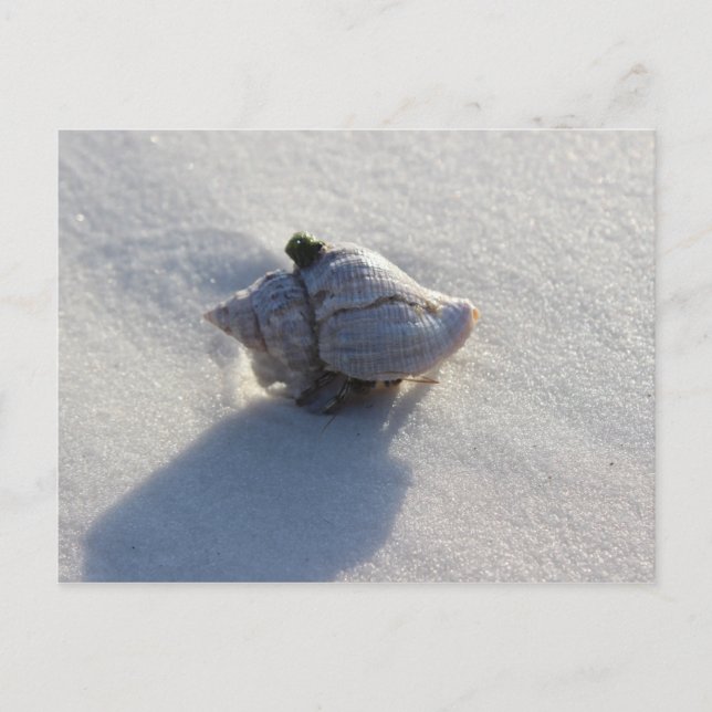 Cartão Postal Shell (Frente)