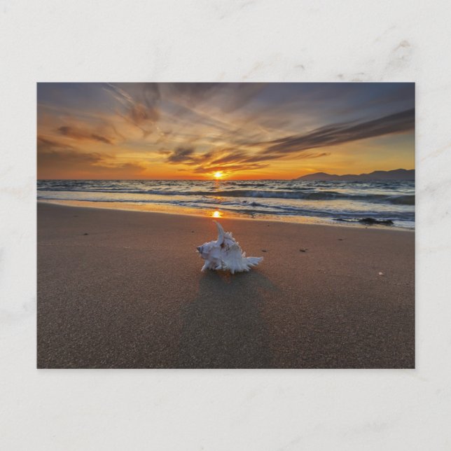 Cartão Postal Shell Na Praia Ao Sunset | Ilha Kos (Frente)