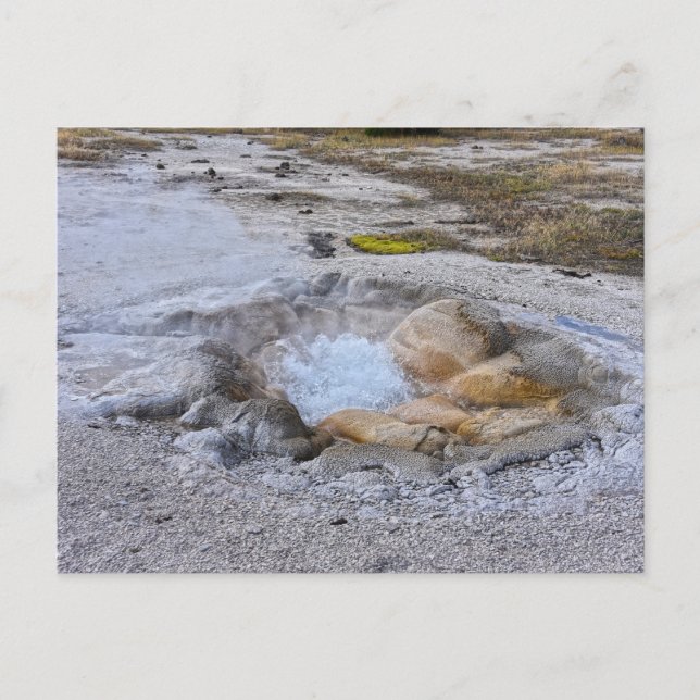 Cartão Postal Shell Primavera no Parque Nacional de Yellowstone, (Frente)