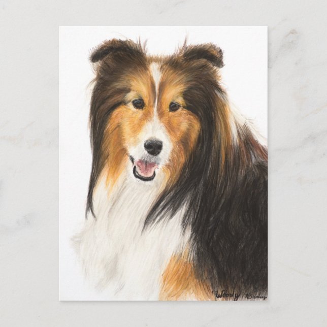 Cartão Postal Sheltie ou Shetland Sheepdog Painting (Frente)