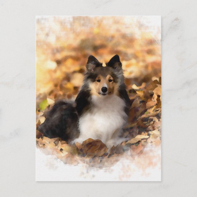 Cartão Postal Sheltie Shetland Sheepdog Art Painting (Frente)