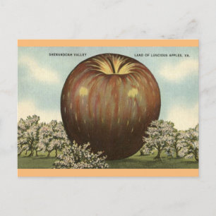 Cartão Postal Shenandoah Valley, Virginia Giant Apple Postcard