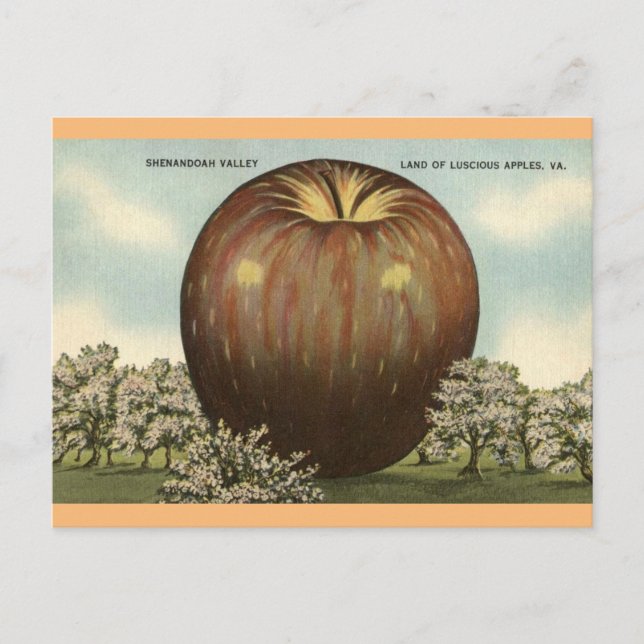 Cartão Postal Shenandoah Valley, Virginia Giant Apple Postcard (Frente)