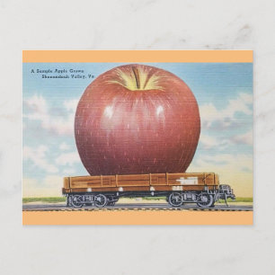 Cartão Postal Shenandoah Valley, Virginia Giant Apple Postcard