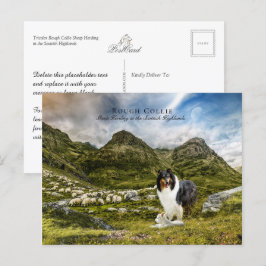 Cartão Postal Shepaherheretricolor Rough Collie - Coletor