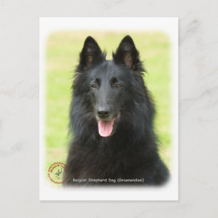 Cartão Postal Shepherd Dog belga 9M031D-24