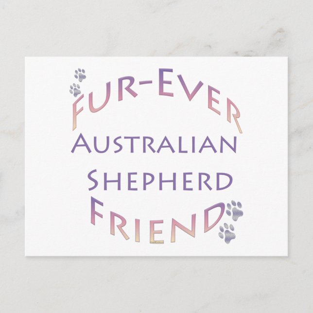 Cartão Postal Shepherd Fuere australiano (Frente)