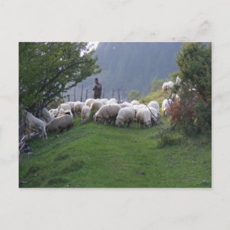 Cartão Postal Shepherd in Fundata, Romênia