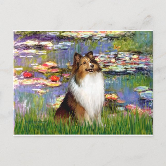 Cartão Postal Shetland Sheepdog (Bz) - Lilies 2 (Frente)