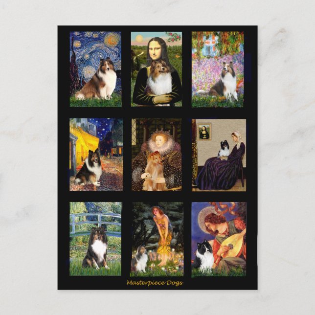 Cartão Postal Shetland Sheepdog - Composto de Masterícula (Frente)