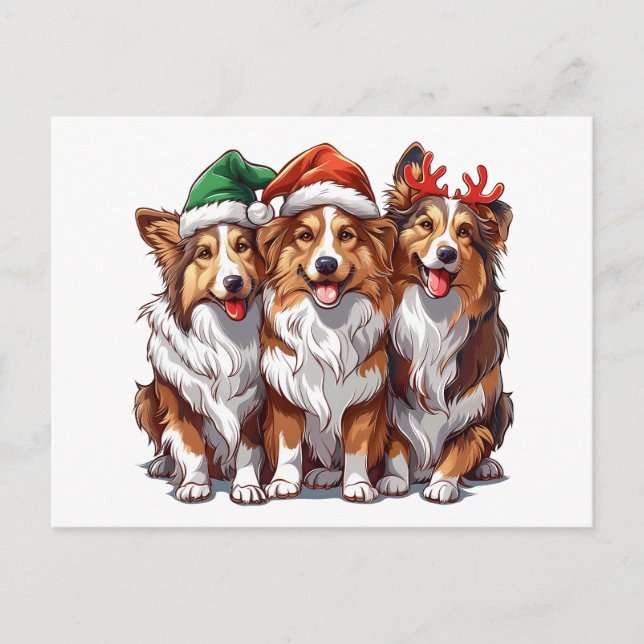 Cartão Postal Shetland Sheepdog do Natal (Frente)