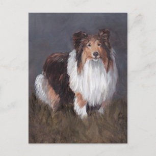 Cartão Postal Shetland Sheepdog Dog Art Posta Card