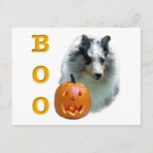 Cartão Postal Shetland Sheepdog (merle) Boo
