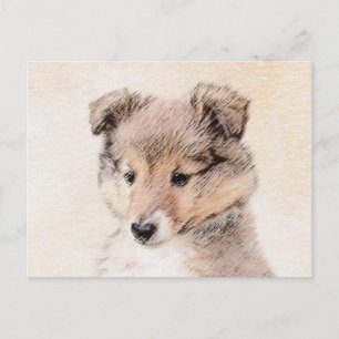 Cartão Postal Shetland Sheepdog Puppy Pintura Original