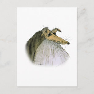 Cartão Postal Shetland Sheepdog, tony fernandes