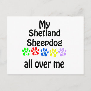 Cartão Postal Shetland Sheepdog Walks Design