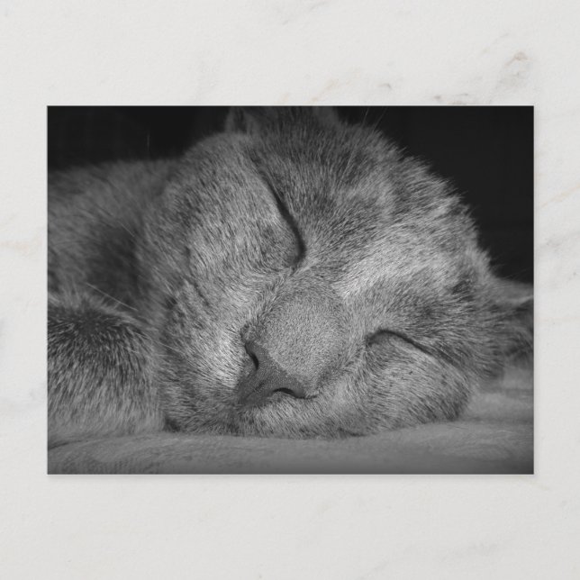 Cartão Postal Shhh... (Frente)