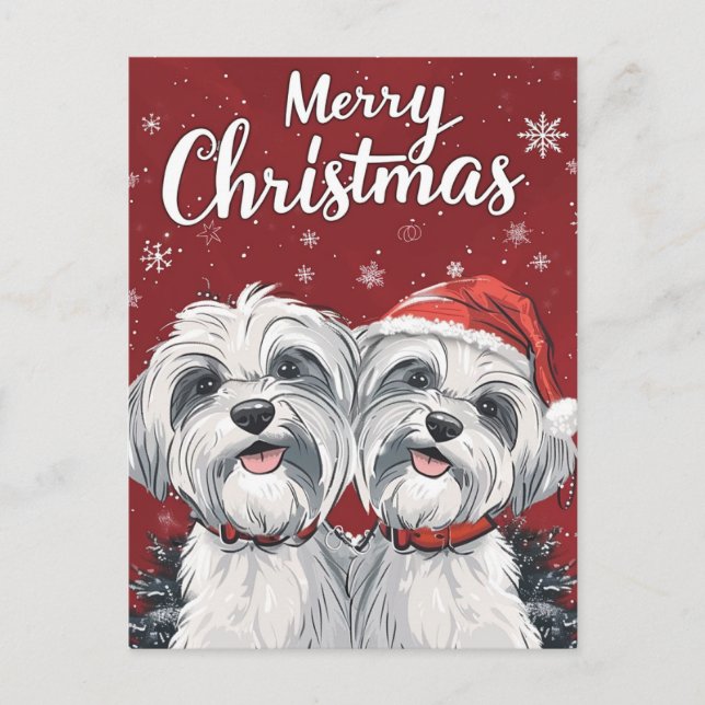 Cartão Postal Shi Tzu Felry Christmas (Frente)