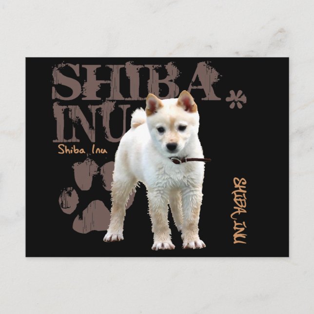 Cartão Postal Shiba Inu (Frente)