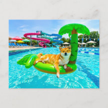 Shiba Inu em bóia de palmeira