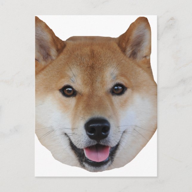 Cartão Postal shibe.png (Frente)