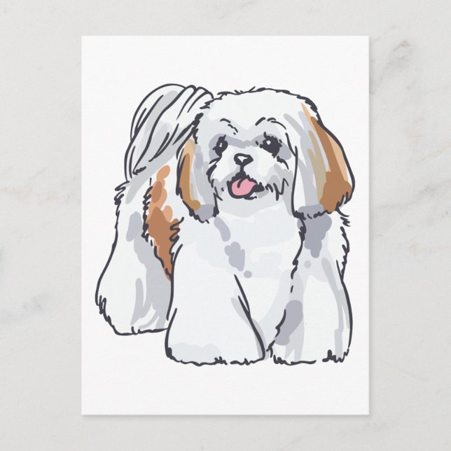 Cartão Postal Shih Tzu (Frente)