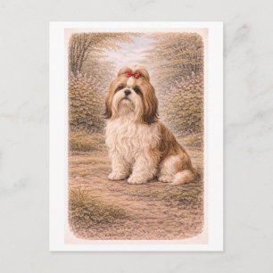Cartão Postal Shih Tzu ao Estilo Vintage