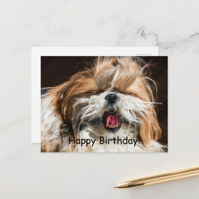 Cartão Postal Shih tzu bocejando língua engraçado fofo Aniversár (Frente/Verso In Situ)