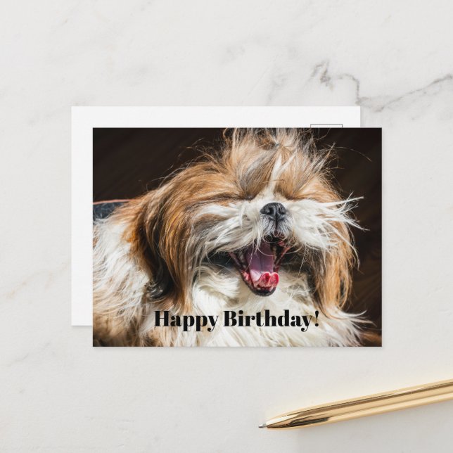 Cartão Postal Shih tzu bocejando rindo engraçado Aniversário fel (Frente/Verso In Situ)