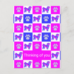 Cartão Postal Shih Tzu Cachorro e Pata Rosa e Azul Pensando em V
