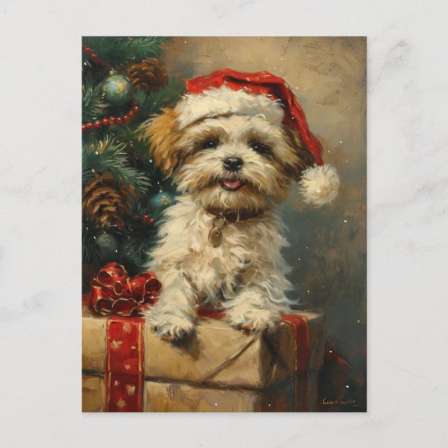 Cartão Postal Shih Tzu Christmas (Frente)