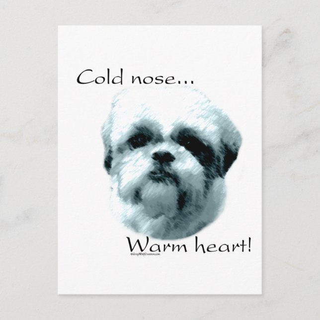 Cartão Postal Shih Tzu Cold Nose Coração Quente (Frente)
