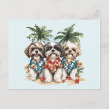 Shih Tzu Dogs Vestindo camisas havaianas